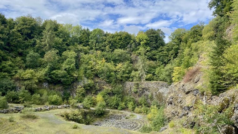 Innenbereich des ehemaligen Steinbruchs im Vulkan Arensberg mit rund verlaufender Felswand und Vegetation am Stein.