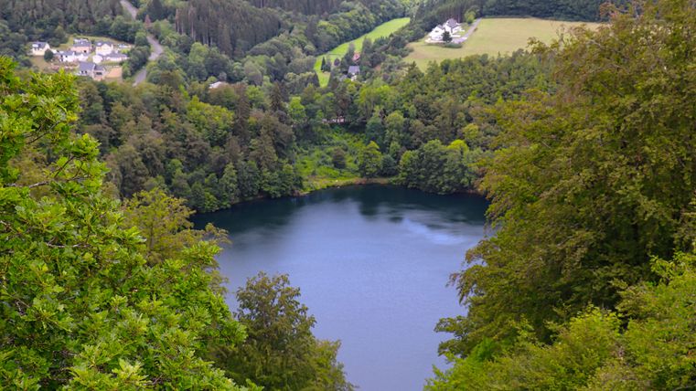 Ein malerischer See umgeben von üppigem Grün und Bäumen. Im Hintergrund sind sanfte Hügel und einige Häuser sichtbar.