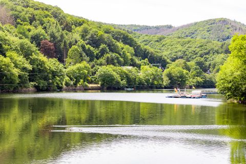 Ein ruhiger See, umgeben von grünen Bäumen und Hügeln. Das Wasser spiegelt die Landschaft wider und bietet eine friedliche Atmosphäre.