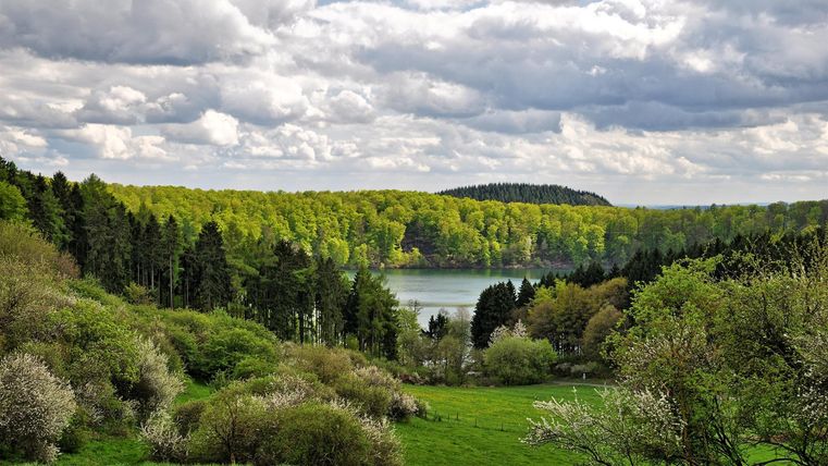 Eine wunderschöne Landschaft mit einem ruhigen See und grünen Wäldern. Der Himmel ist bewölkt und die Natur blüht.