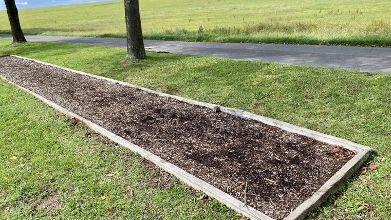 In hout omrandte bed met schorsmulch op een gazon. Aangrenzend een pad en verspreide bomen.