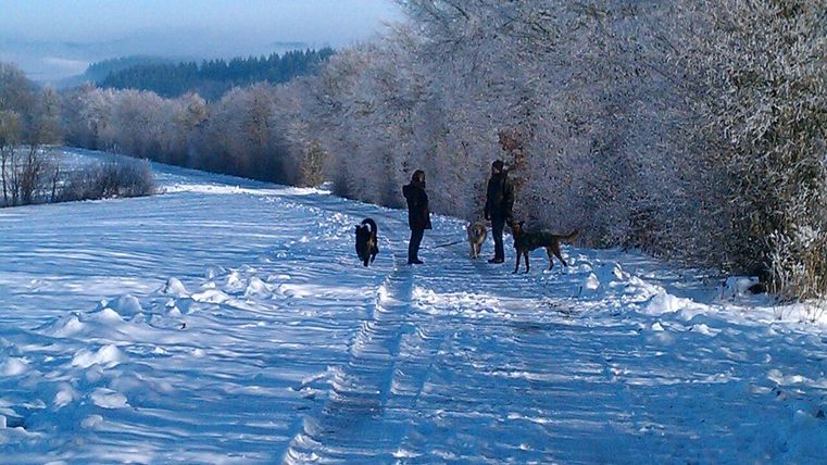 Eine verschneite Landschaft mit zwei Personen, die mit Hunden spazieren gehen. Die Bäume sind mit Frost bedeckt und der Himmel ist klar.