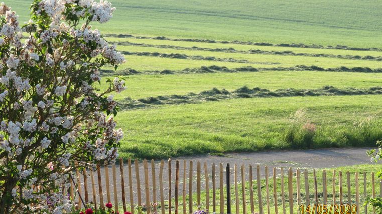 Eine grüne Wiesenlandschaft mit frisch gemähtem Gras und einem blühenden Baum im Vordergrund. Im Hintergrund sind zarte Blumen und ein Zaun zu sehen.