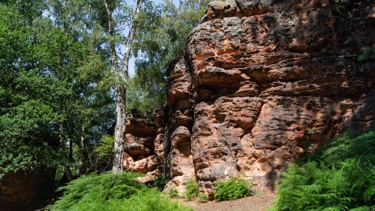 Eine felsige Landschaft mit grünen Farnen und Bäumen. Die warme Lichtstimmung betont die natürlichen Farben der Felsen.