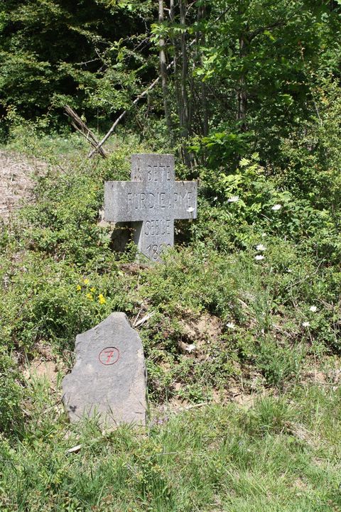 Two gravestones in a wooded environment. The larger stone is in the shape of a cross, surrounded by green grass and plants.