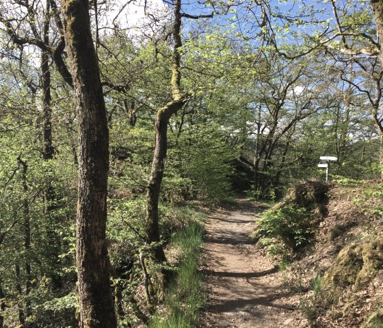Reizen langs het Grafschaftspad, © Eifel Tourismus GmbH