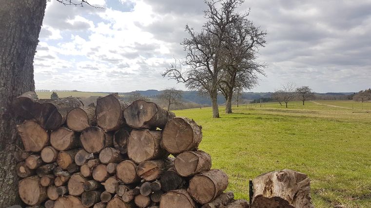 Ein Holzstapel liegt im Vordergrund, vor einer grünen Wiese mit einem einsamen Baum. Der Himmel ist bewölkt und die Landschaft wirkt ruhig und idyllisch.