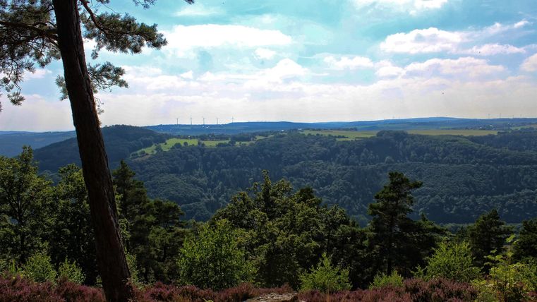 Eine malerische Landschaft mit grünen Wäldern und sanften Hügeln. Der Himmel ist teilweise bewölkt und strahlt eine ruhige Atmosphäre aus.