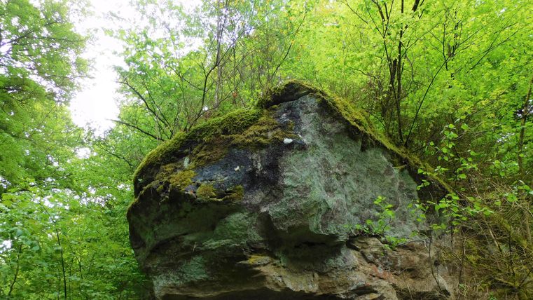 Ein großer Felsen mit moosbedeckter Spitze, umgeben von dichtem grünen Wald. Die natürliche Landschaft vermittelt eine ruhige und friedliche Atmosphäre.