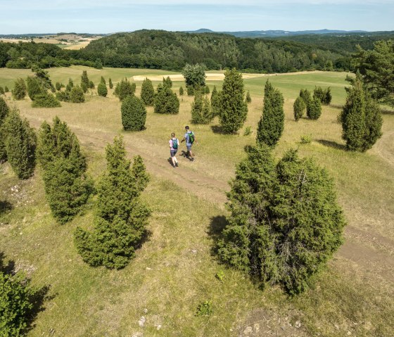 Hiking through the "Tuscany of the Eifel", &copy; Eifel Tourismus GmbH, Dominik Ketz