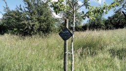 Apfelbaumpatenschaft, © GesundLand Vulkaneifel GmbH