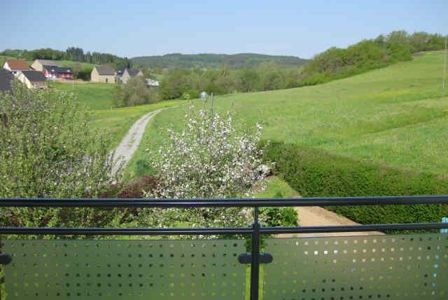 An idyllic landscape with green meadows and a small path. In the foreground, a tree is blooming, and in the background, some houses and hills can be seen.