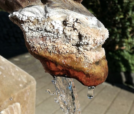 Der Wasserspeier, &copy; Foto & Quelle: Gesundland Vulkaneifel GmbH