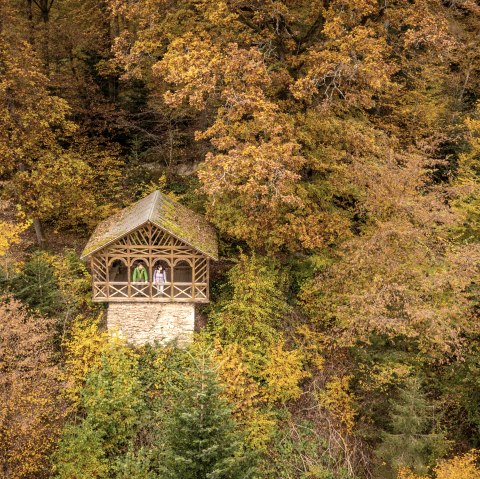 View from the Balduinshütte into the Liesertal, Eifelsteig stage 12, © Eifel Tourismus GmbH, Dominik Ketz