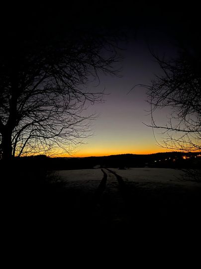 A tranquil sunset over a wintry landscape. Silhouettes of trees frame the sky in soft colors.