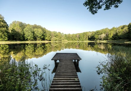 Windsborn crater lake, © GesundLand Vulkaneifel/D. Ketz