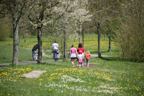 Two adults and two children on the mulch section of the barefoot path, surrounded by blooming meadows and flowering trees.