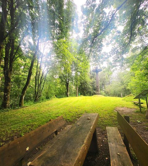 Een rustige bos met groene bomen en zacht licht. Een houten bank staat op de voorgrond op het gras.