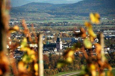 Ein malerischer Blick auf eine Stadt umgeben von Weinbergen. Im Hintergrund sind sanfte Hügel und ein klarer Himmel zu sehen.