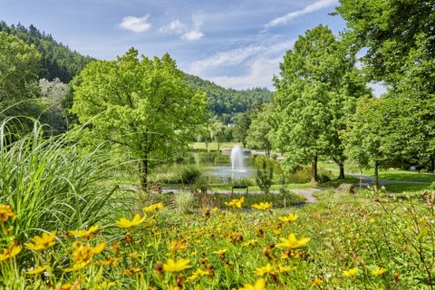 Een mooie parkt met kleurrijke bloemen en weelderig groen. Op de achtergrond is een vijver met een spuitende fontein te zien.