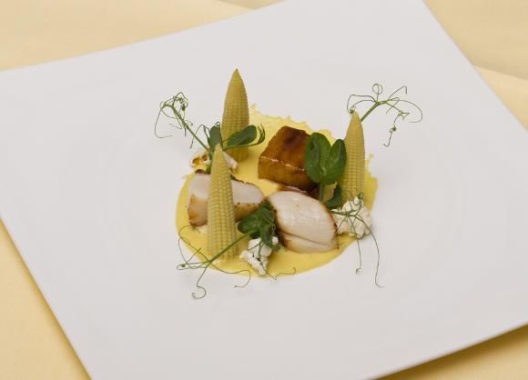 An artfully arranged plate with tender fish, small corn cobs, and a creamy sauce. The dish is garnished with fresh herbs and served on an elegant white plate.