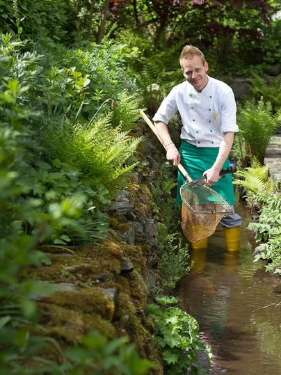 Ein Koch steht im Wasser eines kleinen Baches und fängt mit einem Netz etwas aus dem Wasser. Um ihn herum wachsen viele Pflanzen und es gibt eine grüne, natürliche Umgebung.