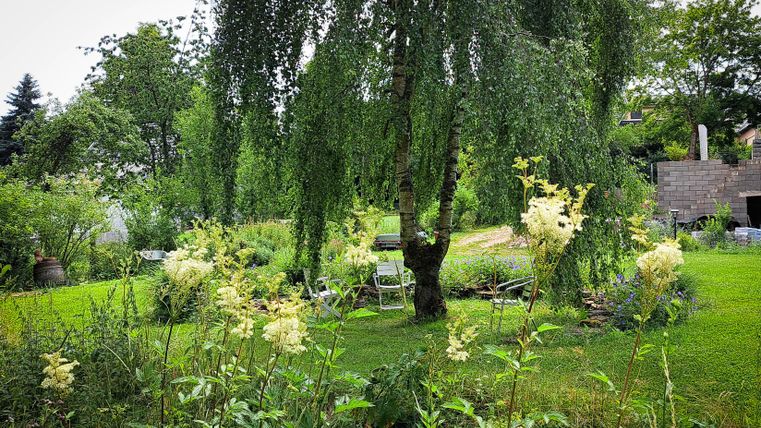 Een rustige tuin met een hoge wilg en kleurrijke bloemen. Op de achtergrond staan twee stoelen in een groene omgeving.