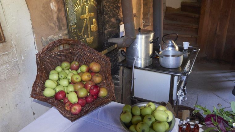 Een mand met rode en groene appels staat op een tafel. Naast de mand staat een kookpan en andere keukengereedschappen.