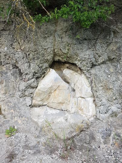 Ein Felsen mit einer runden Vertiefung, die einen hellen Stein zeigt. Umgeben von grünem Laub und Erde.
