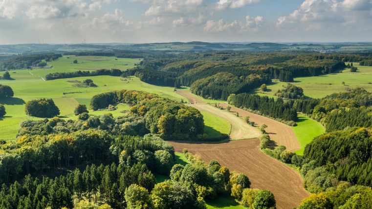 Landschaft mit Feldern, Wäldern und Hügeln unter blauem Himmel mit Wolken.