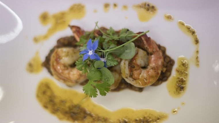 Een kunstzinnig opgemaakte schotel met garnalen, gegarneerd met verse kruiden en een bloemversiering. Op de schotel is een licht gekleurde saus te zien.