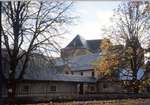 Die Unterburg Lissingen im Herbst, umgeben von kahlen und teils gelb belaubten Bäumen. Das Gebäude hat ein markantes Dach.