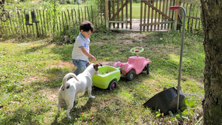 A small child is playing in the garden with colorful toy cars. A dog is standing next to him and watching curiously.