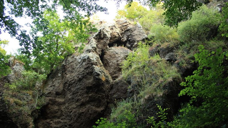 Een steile rotswand, omgeven door weelderig groen loof. De zon schijnt door de bomen en verlicht de rots.