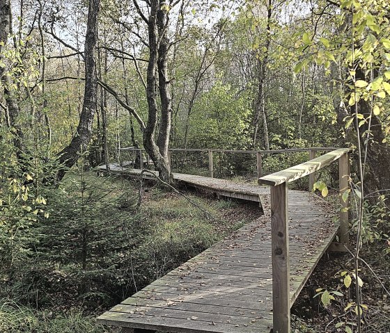 Bragphenn Ormont, &copy; Touristik GmbH Gerolsteiner Land, Leonie Post