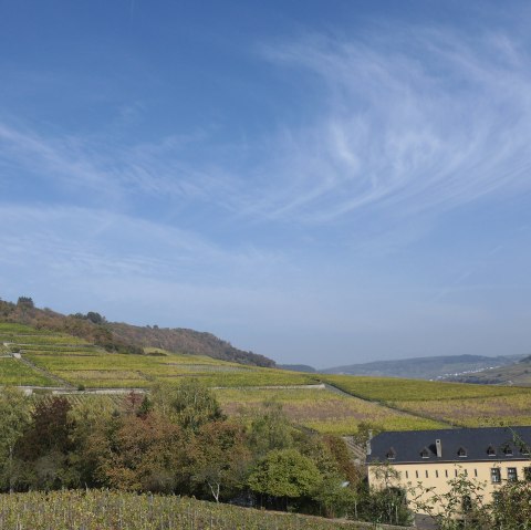 p1070757, &copy; Nicole Zimmer