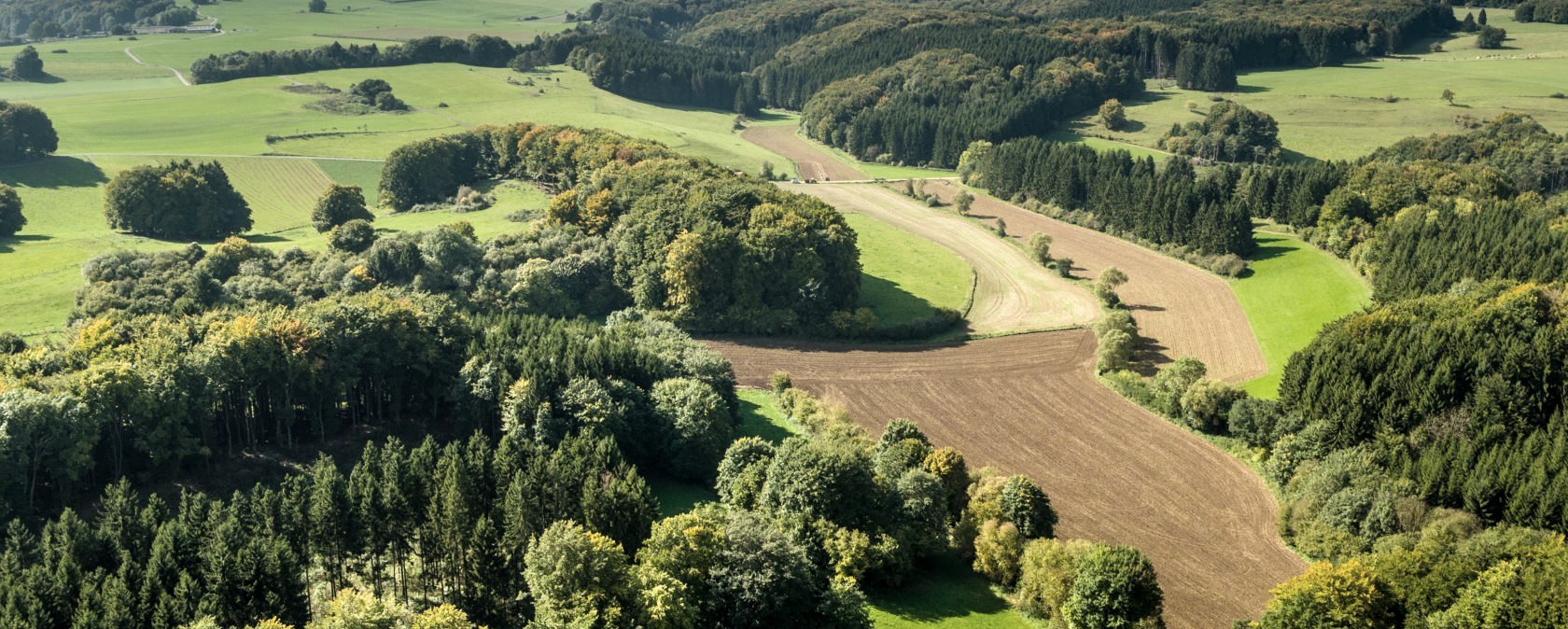 Uitzicht op de Eifel op de Schneifel Trail, © Eifel Tourismus GmbH, D. Ketz