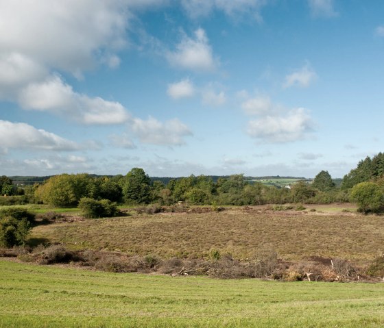 Strohn sprookjes op de Maare Trail, © Eifel Tourismus GmbH - D. Ketz