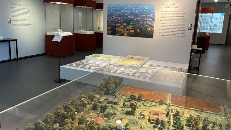 View into the exhibition