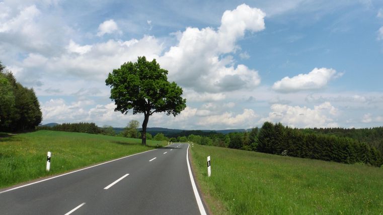 Eine ruhige Landstraße mit grünem Gras und einem einzelnen Baum. Der Himmel ist blau mit einigen Wolken.