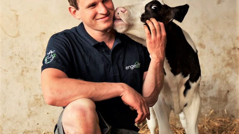 Ein Bauer sitzt in einem Stall und lächelt, während ein Kalb ihn liebevoll anstößt. Der Raum ist mit Stroh ausgelegt, was eine gemütliche Atmosphäre schafft.