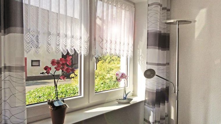 A bright room with two windows decorated with curtains. On the windowsill are plants and a floor lamp.