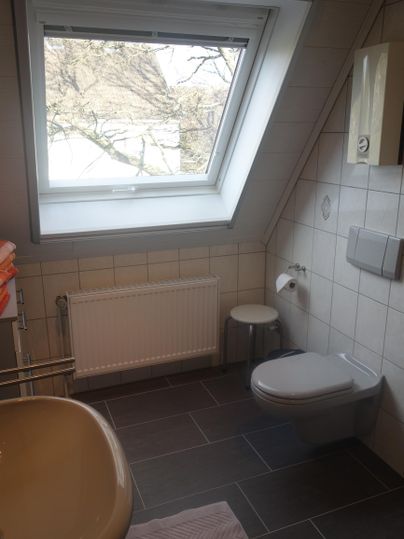Een badkamer met dakraam, WC en wastafel. De ruimte is licht en modern ingericht.