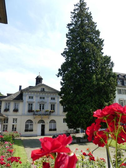 Een mooi gebouw met een grote dennenboom op de voorgrond. Rode bloemen omzoomt de scène en geven een extra vleugje kleur.