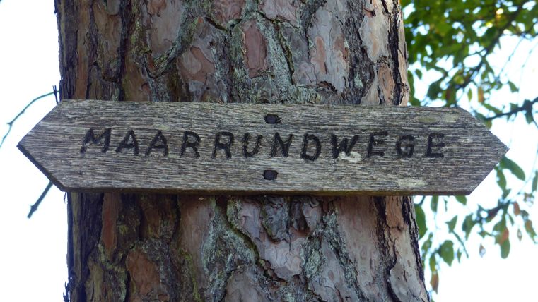 Een houten bord met de tekst "MAARRUNDWEGE" wijst de richting naar wandelpaden. De achtergrond bestaat uit een boomstam en groene bladeren.