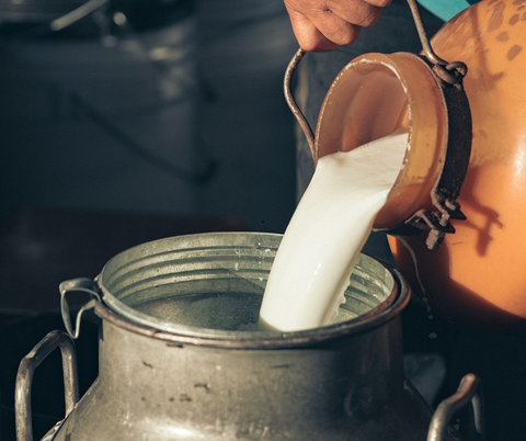 Melk wordt in een zeer grote container gegoten