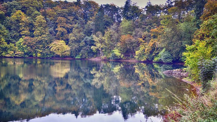 A tranquil lake surrounded by colorful autumn forest. The trees reflect in the clear water.