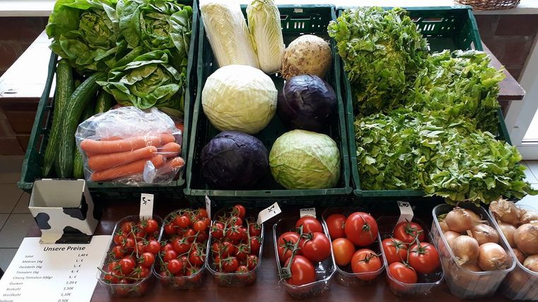 Een vers aanbod van groenten en fruit is op een tafel gepresenteerd. Te zien zijn sla, kool, wortelen en tomaten in verschillende manden.