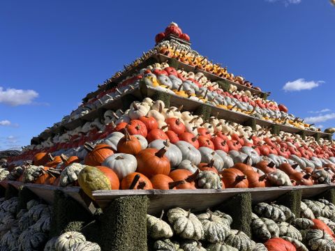 Ein großer pyramidaler Turm aus verschiedenfarbigen Kürbissen steht unter einem blauen Himmel. Die Kürbisse sind in vielen Formen und Größen angeordnet.