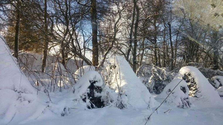 Verschneite Panzersperren im Wald, umgeben von kahlen Bäumen und blauem Himmel. Sonnenlicht scheint durch die Äste.